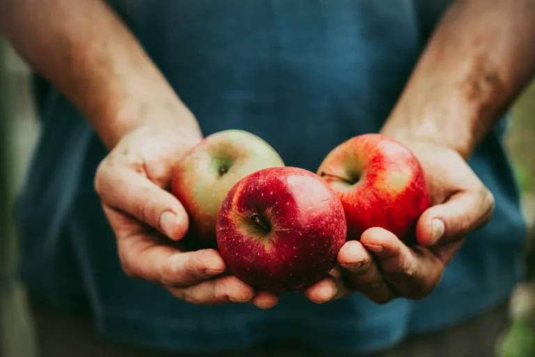 Kein Budenverkauf, Obst nur im Hofladen in Gleidingen - Obstplantage Hahne