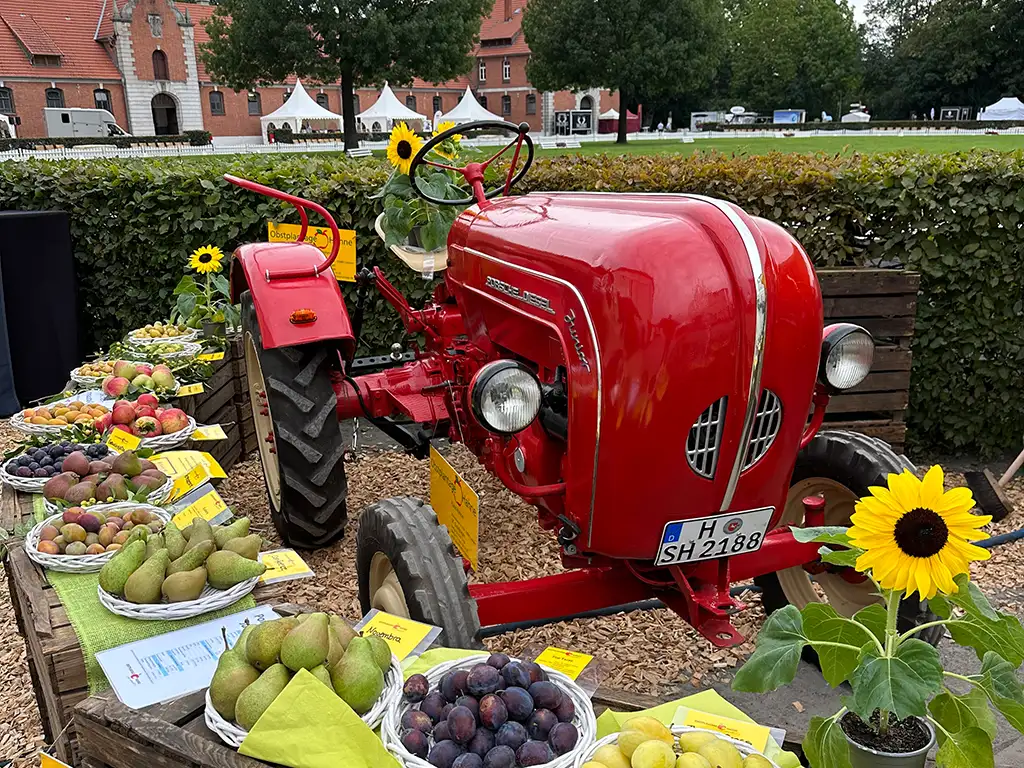 Sommerfest im Landgestüt Celle - Obstplantage Hahne