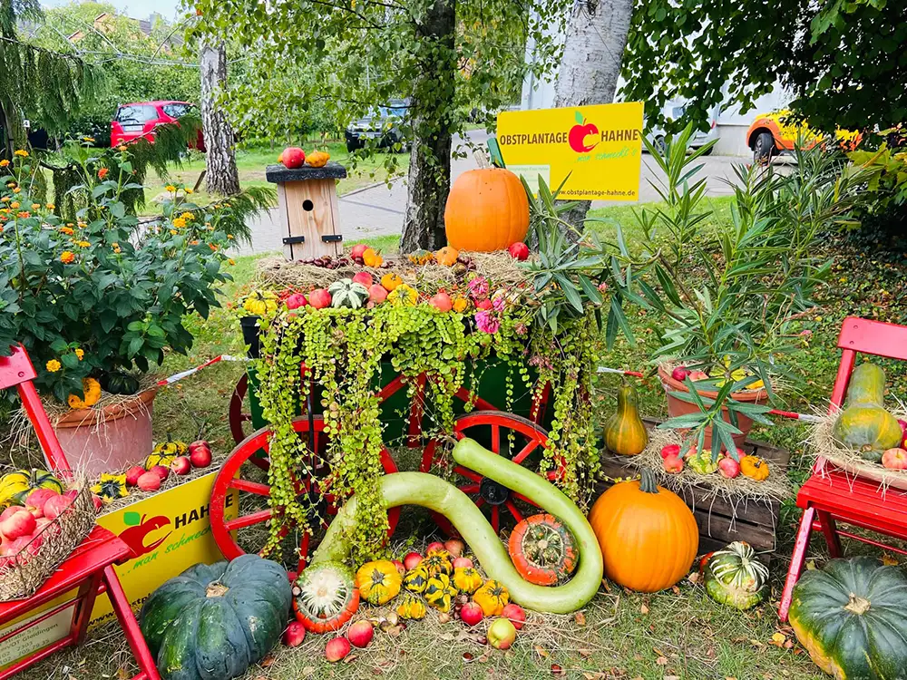 Veranstaltungen - Obstplantage Hahne